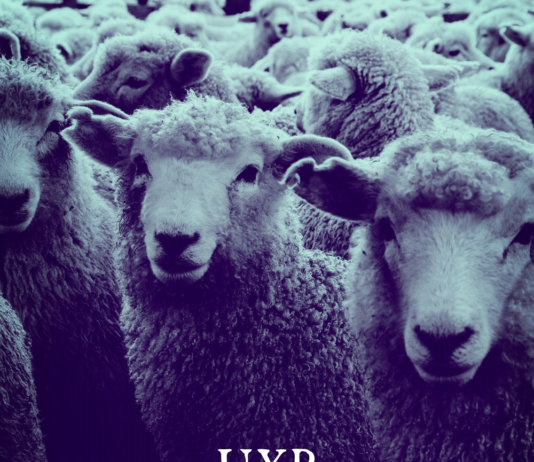 UxB - Westworld Crisis (2020)