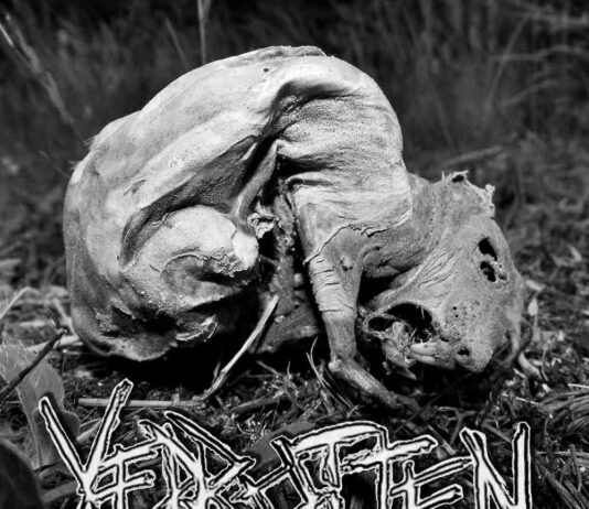 Verrotten - Verrotten (2022, Artwork)
