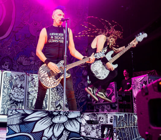 WIZO geben Festivaltermine für 2025 bekannt