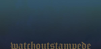 Watch Out Stampede - Northern Lights