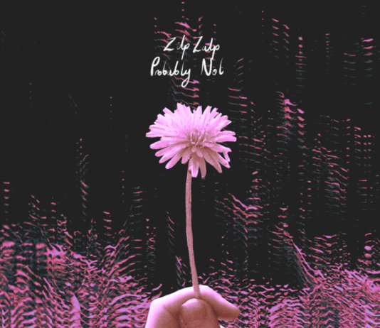 ZipZalp & Probably Not – Split-LP ::: Review (2020) ZipZalp & Probably Not – Split-LP (2020)
