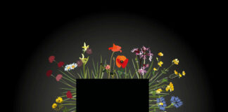Albumcover mit schwarzem Quadrat in der Mitte. Außerhalb des schwarzen Quadrats sprießen Blumen aus der Mitte. Unten links steht: Black Square - Blumen am Abgrund