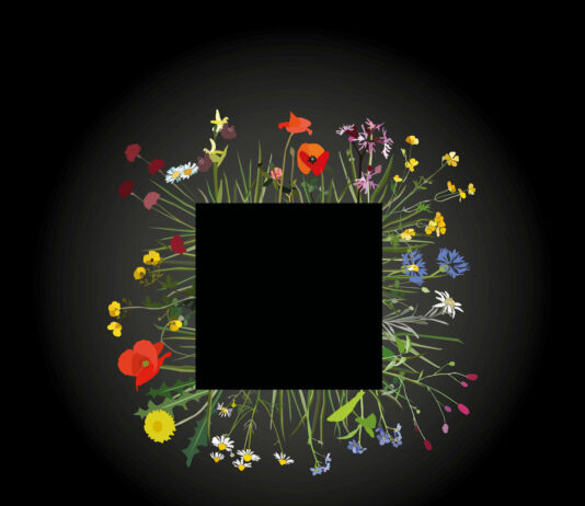 Albumcover mit schwarzem Quadrat in der Mitte. Außerhalb des schwarzen Quadrats sprießen Blumen aus der Mitte. Unten links steht: Black Square - Blumen am Abgrund