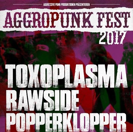 Wir präsentieren das Aggropunk Fest 2017