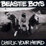 Beastie Boys – Check Your Head (Cover)