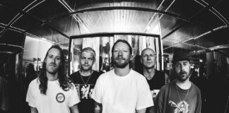 Comeback Kid (Photo by Aaron Schwartz)