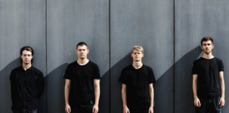 4 Fliegen (Pic by Carolyn Gläsner)