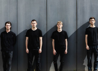 4 Fliegen (Pic by Carolyn Gläsner)