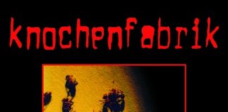 Knochenfabrik -Ameisenstaat
