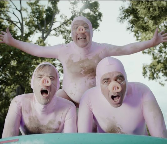 TERRORGRUPPE Video "Fettes betrunkenes dummes Schwein" (Thumbnail)