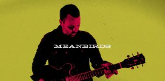 Meanbirds - Falling Apart (Official Video)