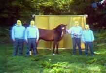 Four Year Strong veröffentlicht neue Single „Whiplash“