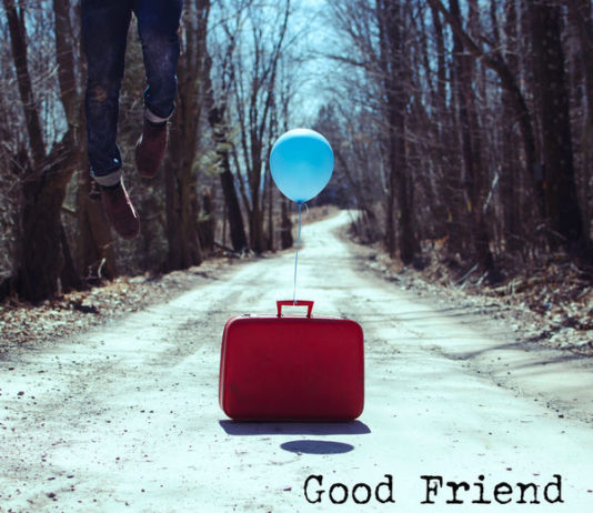 Good Friend - The Erin Rose (EP, 2021)