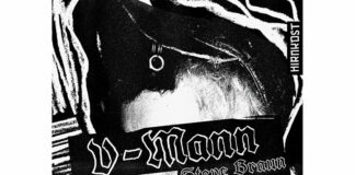 Steve Braun - V-Mann (Buch-Cover)