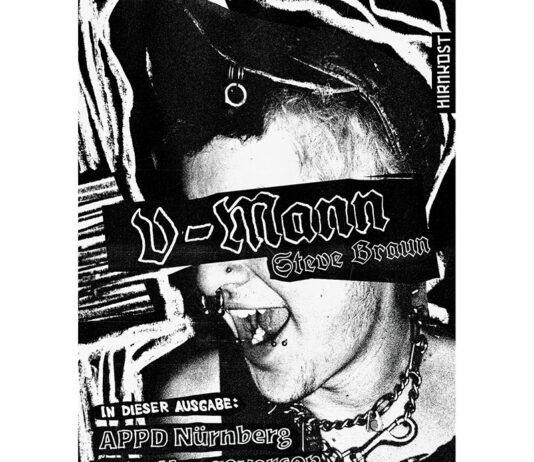Steve Braun - V-Mann (Buch-Cover)