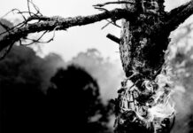 THEY BUILT GRAVES: SxE-Band kündigt Debüt-Demo an © They Built Graves - Nothing Holy Left (EP Cover)