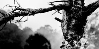 THEY BUILT GRAVES: SxE-Band kündigt Debüt-Demo an © They Built Graves - Nothing Holy Left (EP Cover)